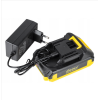 Пила акумуляторна міні ASAKA ASCD-21V